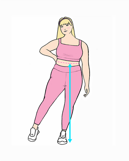 Leg Height (cm)