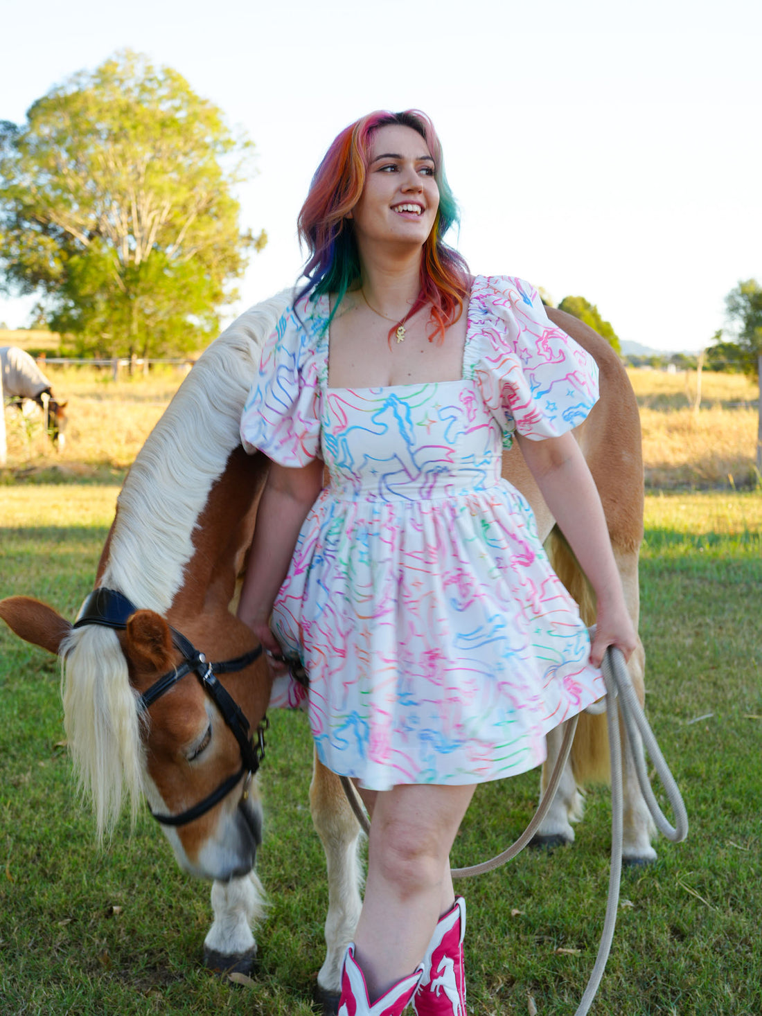 DELIGHTFUL DELUXE PONY DREAMS