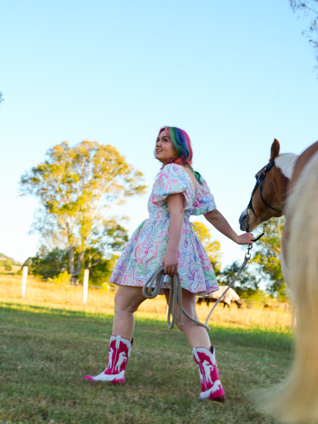 DELIGHTFUL DELUXE PONY DREAMS